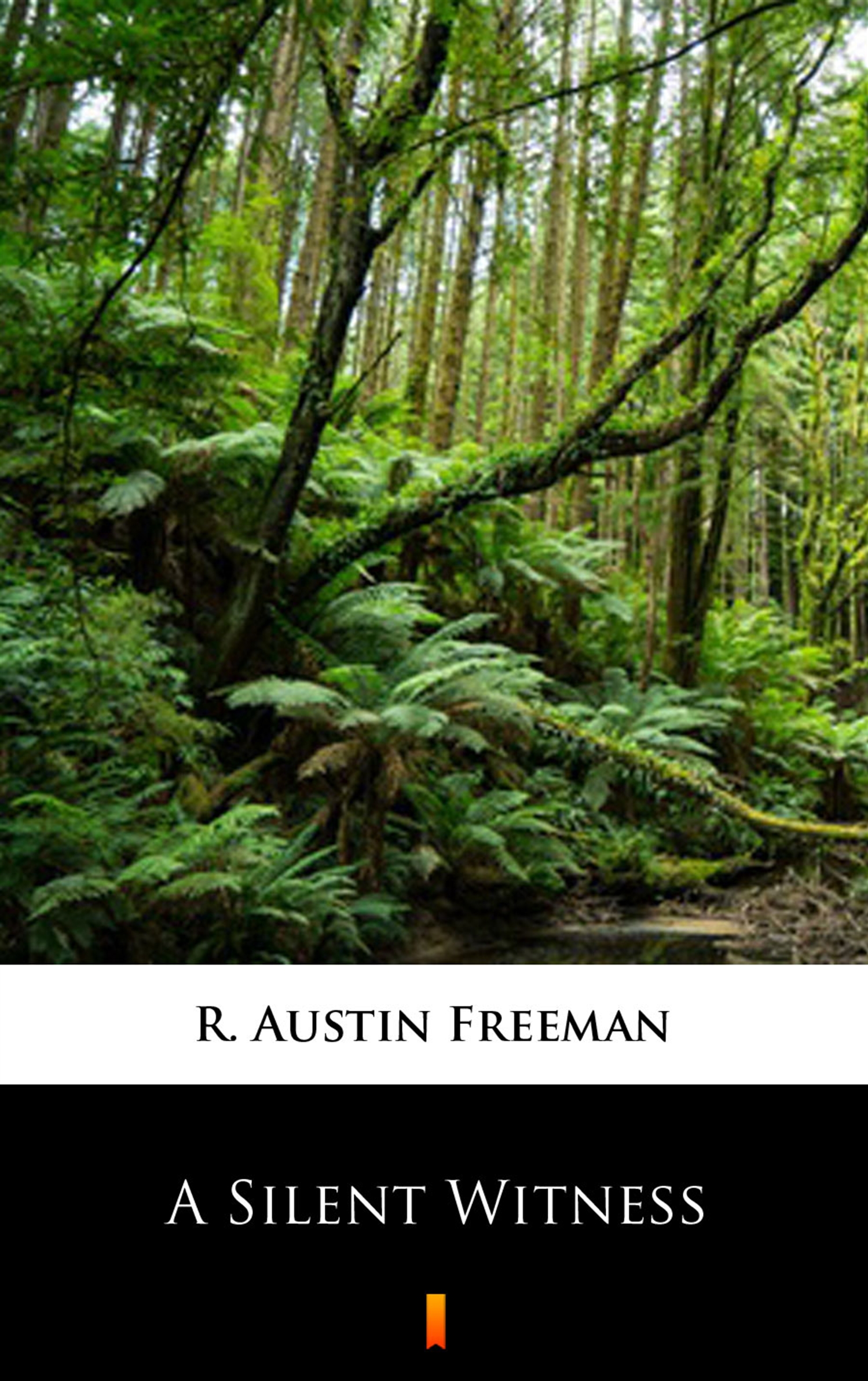 Tytuł: A Silent Witness
Autor: R. Austin Freeman
Wydawnictwo: KtoCzyta.pl
Formaty: EPUB, MOBI