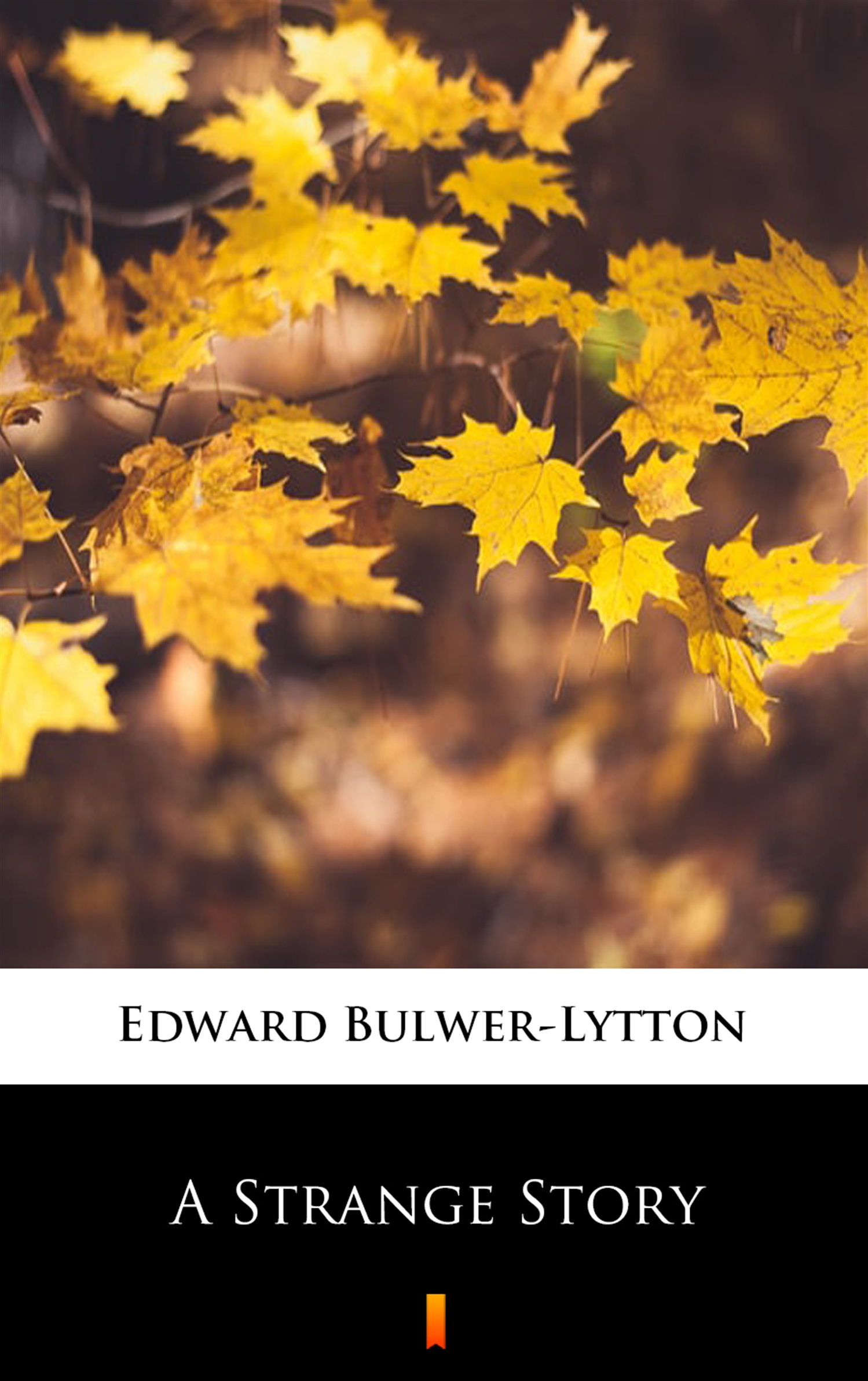 Tytuł: A Strange Story
Autor: Edward Bulwer-Lytton
Wydawnictwo: KtoCzyta.pl
Formaty: EPUB, MOBI
