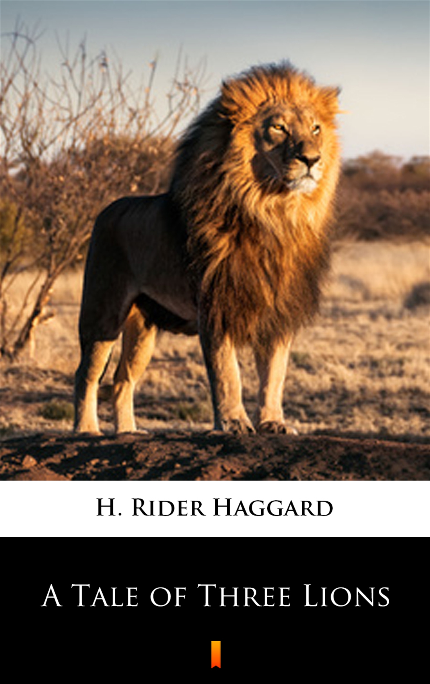 Tytuł: A Tale of Three Lions
Autor: H. Rider Haggard
Wydawnictwo: KtoCzyta.pl
Formaty: EPUB, MOBI