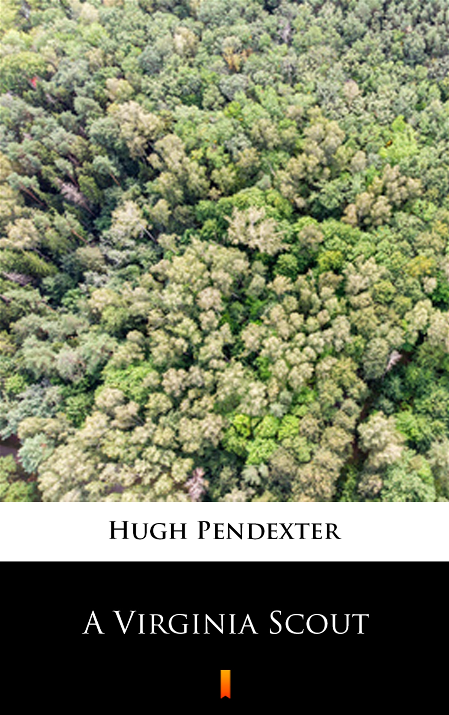Tytuł: A Virginia Scout
Autor: Hugh Pendexter
Wydawnictwo: KtoCzyta.pl
Formaty: EPUB, MOBI