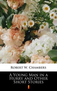 A Young Man in a Hurry and Other Short Stories — okładka e-booka