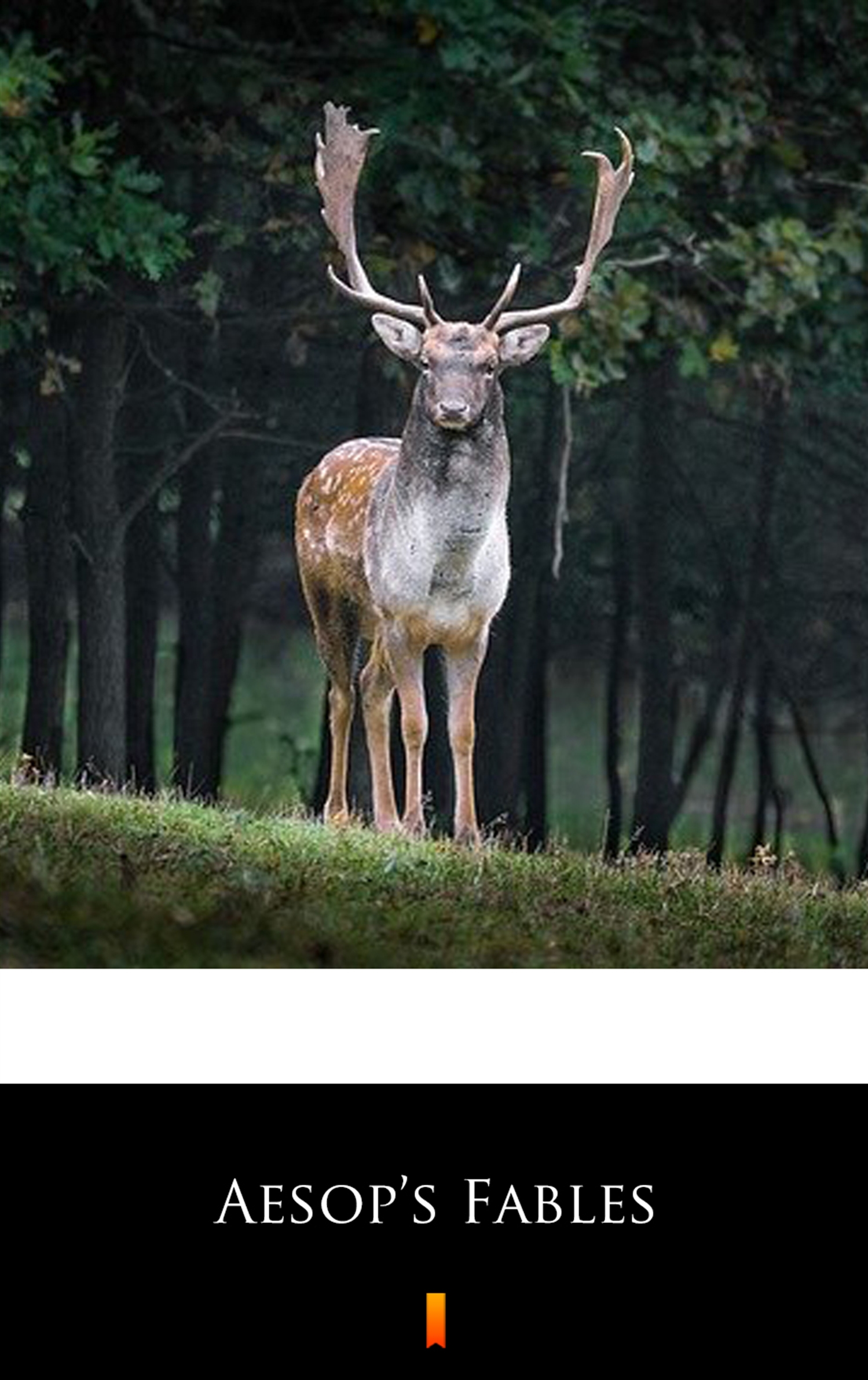 Tytuł: Aesop’s Fables
Autor:
Wydawnictwo: KtoCzyta.pl
Formaty: EPUB, MOBI