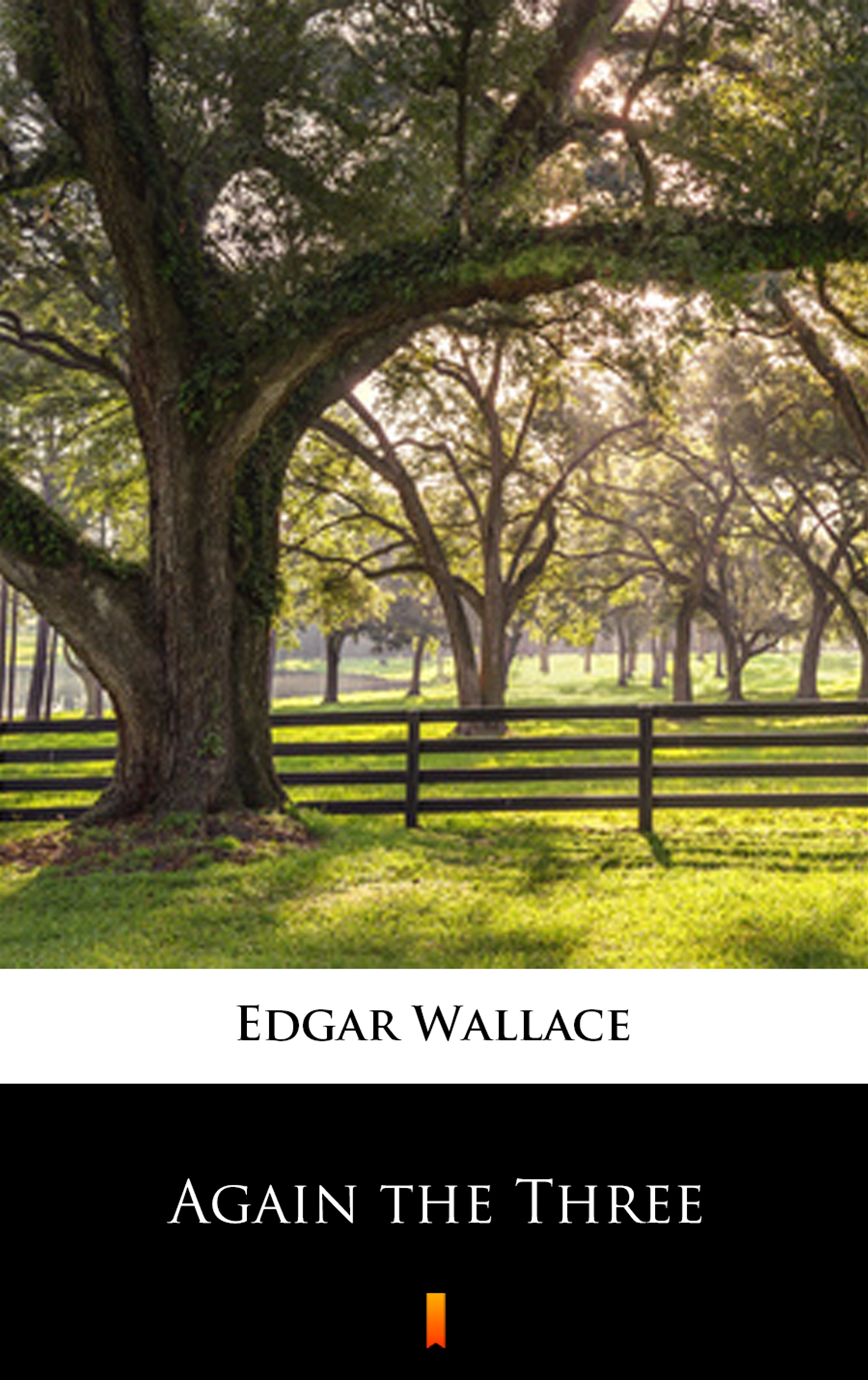 Tytuł: Again the Three
Autor: Edgar Wallace
Wydawnictwo: KtoCzyta.pl
Formaty: EPUB, MOBI