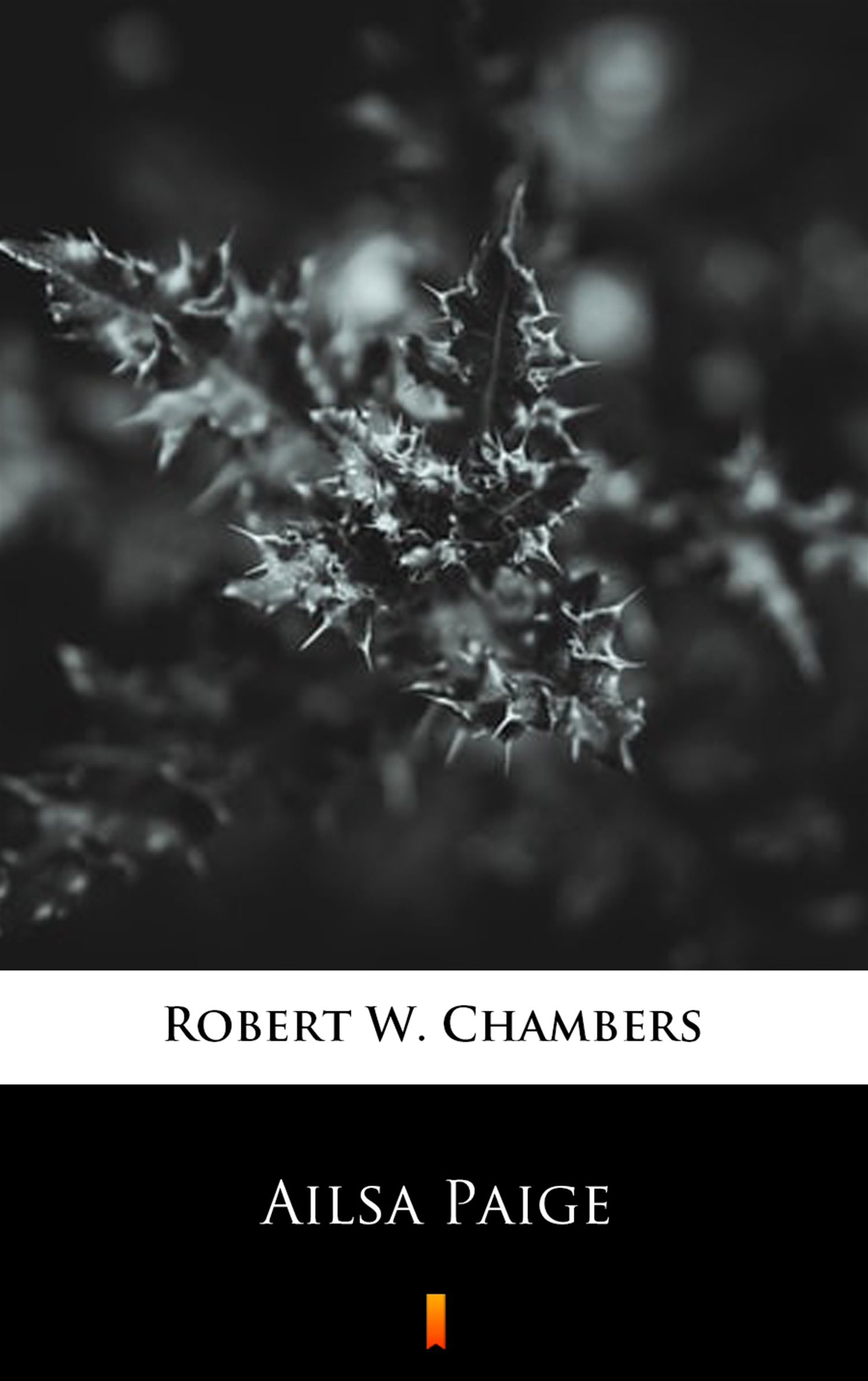 Tytuł: Ailsa Paige
Autor: Robert W. Chambers
Wydawnictwo: KtoCzyta.pl
Formaty: EPUB, MOBI