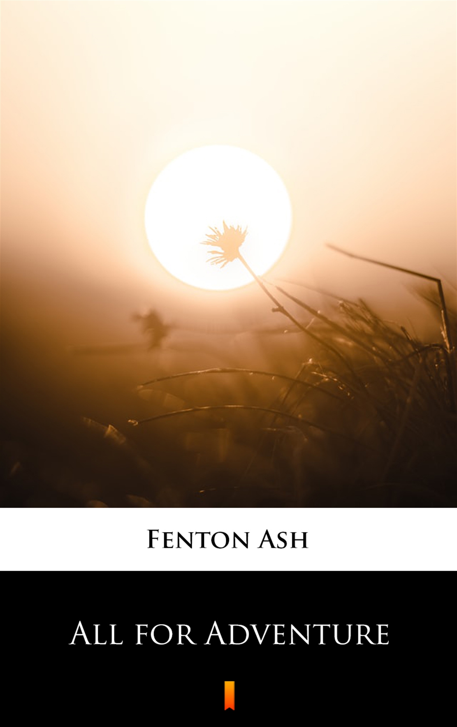 Tytuł: All for Adventure
Autor: Fenton Ash
Wydawnictwo: KtoCzyta.pl
Formaty: EPUB, MOBI