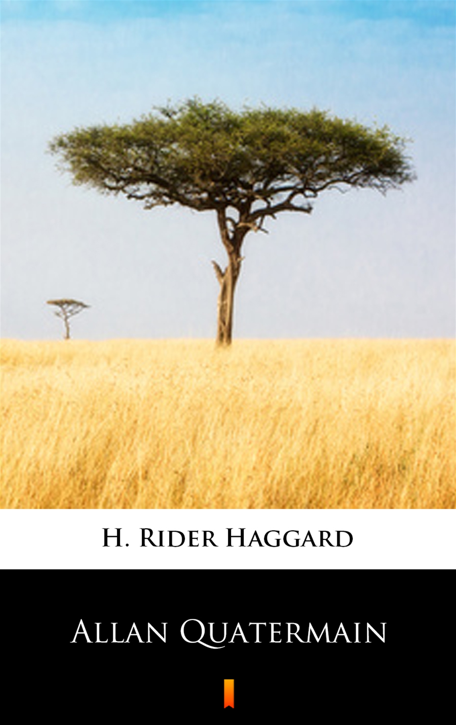 Tytuł: Allan Quatermain
Autor: H. Rider Haggard
Wydawnictwo: KtoCzyta.pl
Formaty: EPUB, MOBI