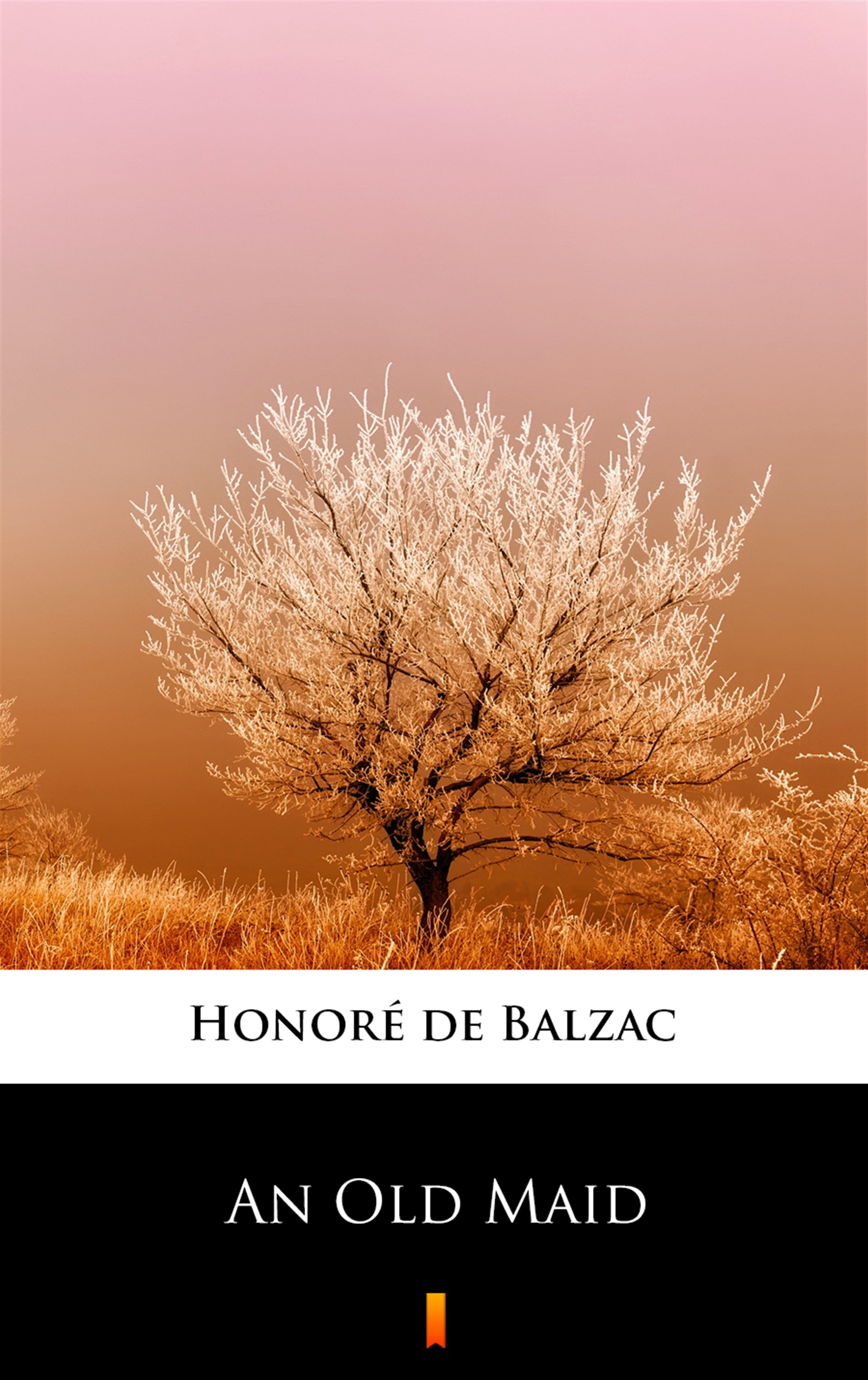 Tytuł: An Old Maid
Autor: Honoré de Balzac
Wydawnictwo: KtoCzyta.pl
Formaty: EPUB, MOBI
