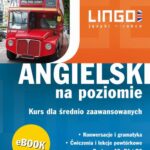 Tytuł: Angielski na poziomie
Autor: Gabriela Oberda
Wydawnictwo: Lingo
Formaty: PDF