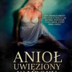 Anioł uwięziony w mroku — okładka e-booka