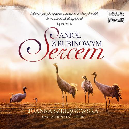 Tytuł: Anioł z rubinowym sercem
Autor: Joanna Szelągowska
Wydawnictwo: Storybox
Formaty: MP3