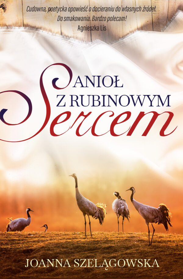 Anioł z rubinowym sercem — okładka