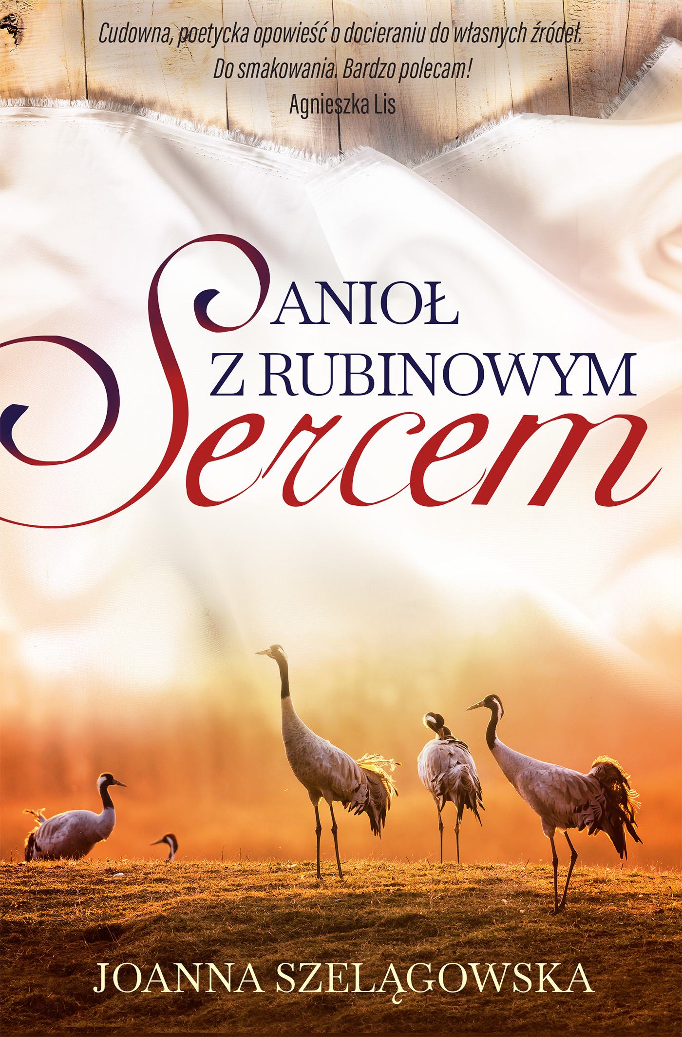 Tytuł: Anioł z rubinowym sercem
Autor: Joanna Szelągowska
Wydawnictwo: Zysk i S-ka
Formaty: EPUB, MOBI