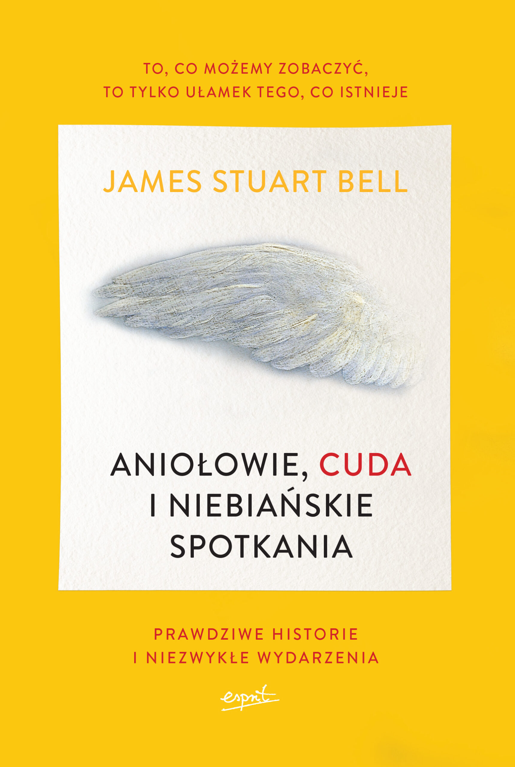 Tytuł: Aniołowie, cuda i niebiańskie spotkania
Autor: James Stuart Bell
Wydawnictwo: Esprit
Formaty: EPUB, MOBI