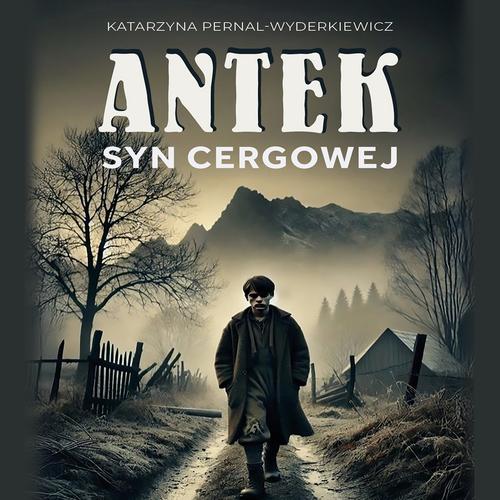 Tytuł: Antek. Syn Cergowej
Autor: Katarzyna Pernal-Wyderkiewicz
Wydawnictwo: Wydawnictwo e-bookowo
Formaty: MP3