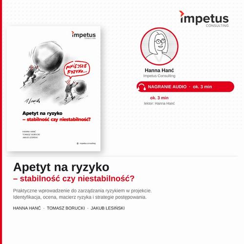 Apetyt na ryzyko - stabilność czy niestabilność — okładka audiobooka
