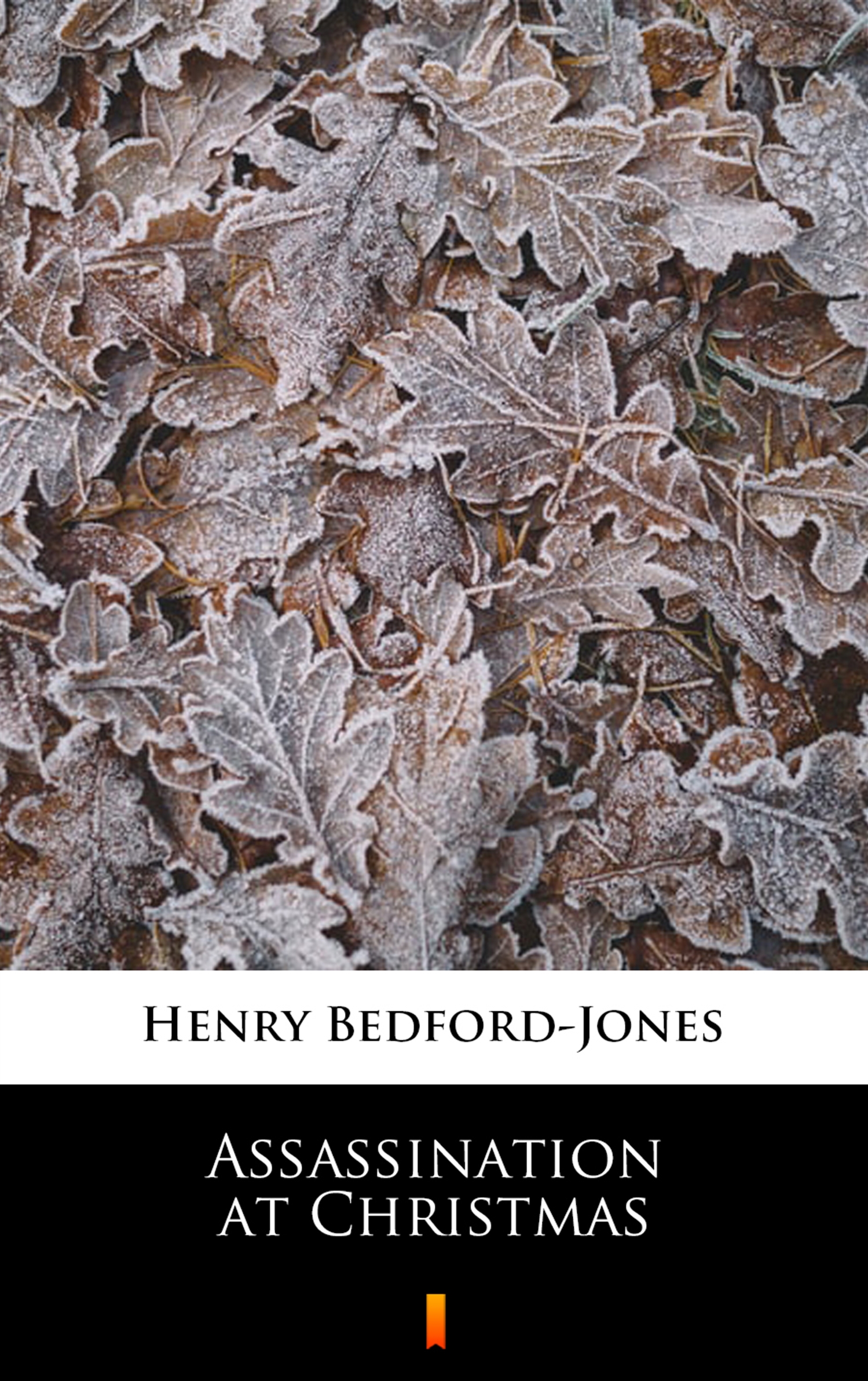Tytuł: Assassination at Christmas
Autor: Henry Bedford-Jones
Wydawnictwo: KtoCzyta.pl
Formaty: EPUB, MOBI