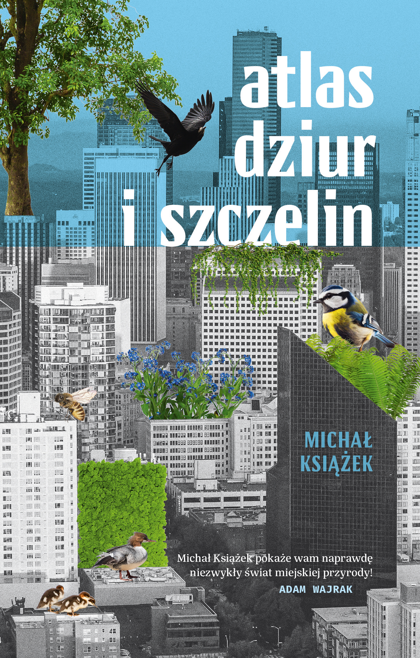 Tytuł: Atlas dziur i szczelin
Autor: Michał Książek
Wydawnictwo: Literanova
Formaty: EPUB, MOBI