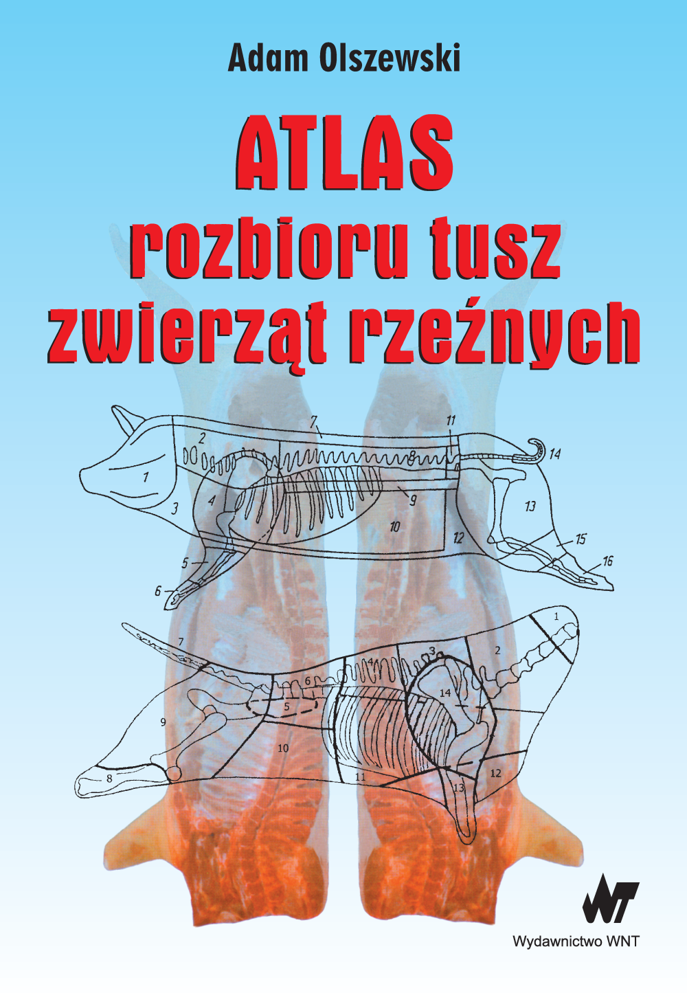 Atlas rozbioru tusz zwierząt rzeźnych — okładka e-booka