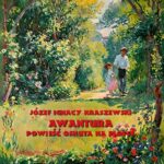 Tytuł: Awantura. Powieść osnuta na plotce
Autor: Józef Ignacy Kraszewski
Wydawnictwo: Armoryka
Formaty: EPUB, MOBI