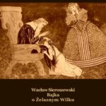 Tytuł: Bajka o Żelaznym Wilku
Autor: Wacław Sieroszewski
Wydawnictwo: Armoryka
Formaty: EPUB, MOBI