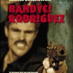 Tytuł: Bandyci Rodriguez
Autor: Łukasz Gołębiewski
Wydawnictwo: Aqua Vitae
Formaty: PDF