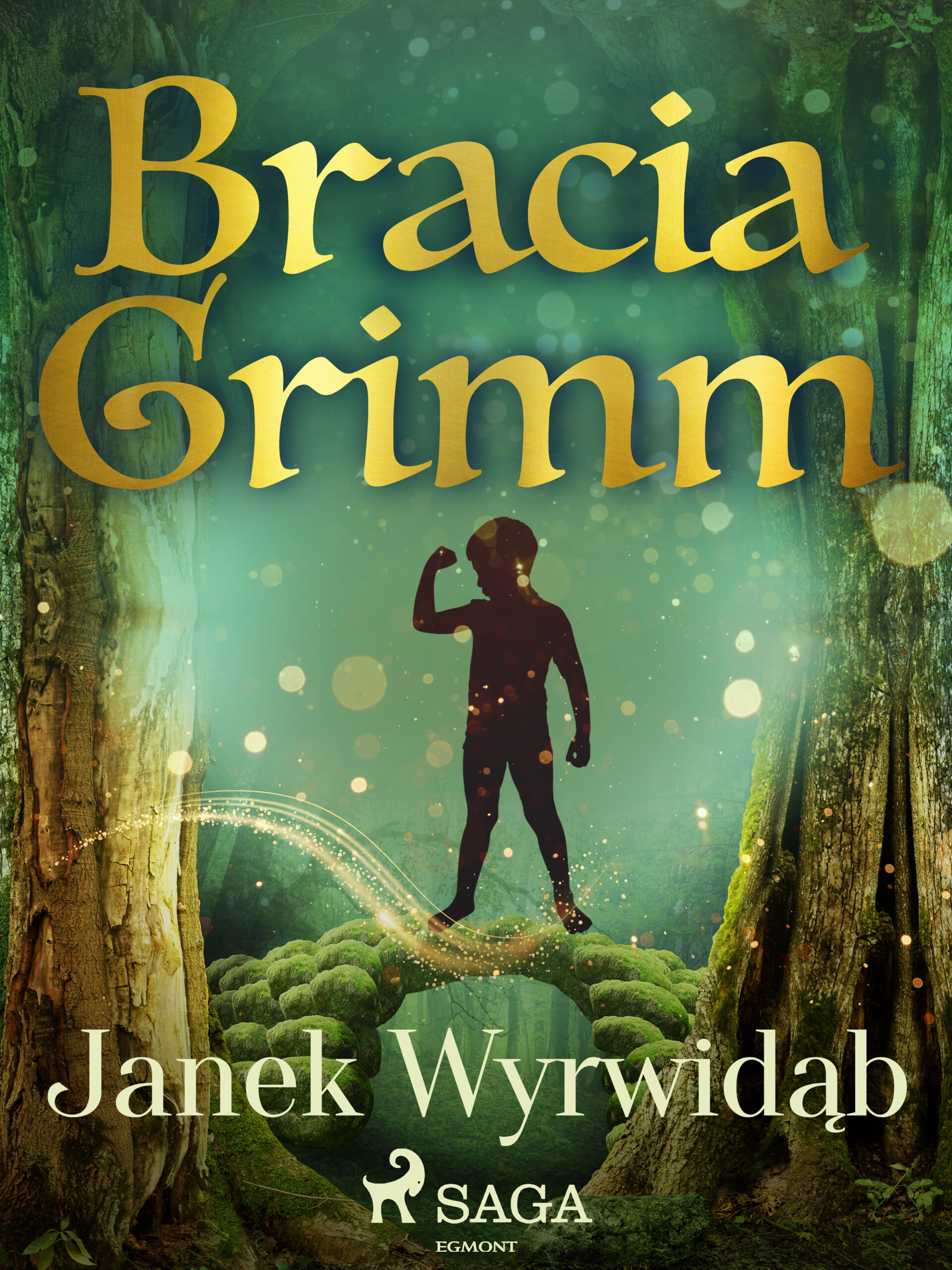 Tytuł: Baśnie Braci Grimm. Janek Wyrwidąb
Autor: Bracia Grimm
Wydawnictwo: SAGA Egmont
Formaty: EPUB, MOBI