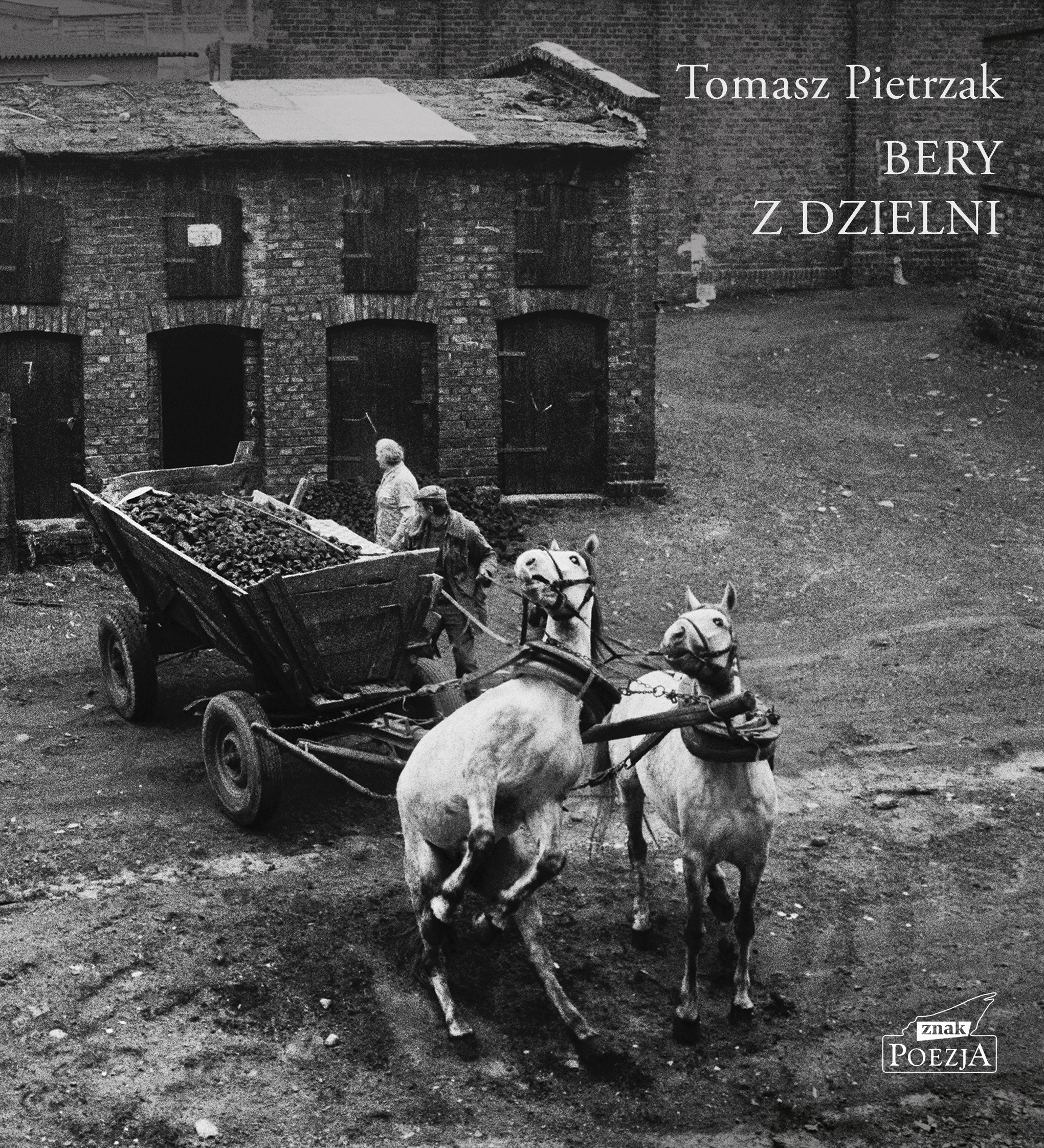 Tytuł: Bery z dzielni
Autor: Tomasz Pietrzak
Wydawnictwo: Wizerunkowe
Formaty: EPUB, MOBI
