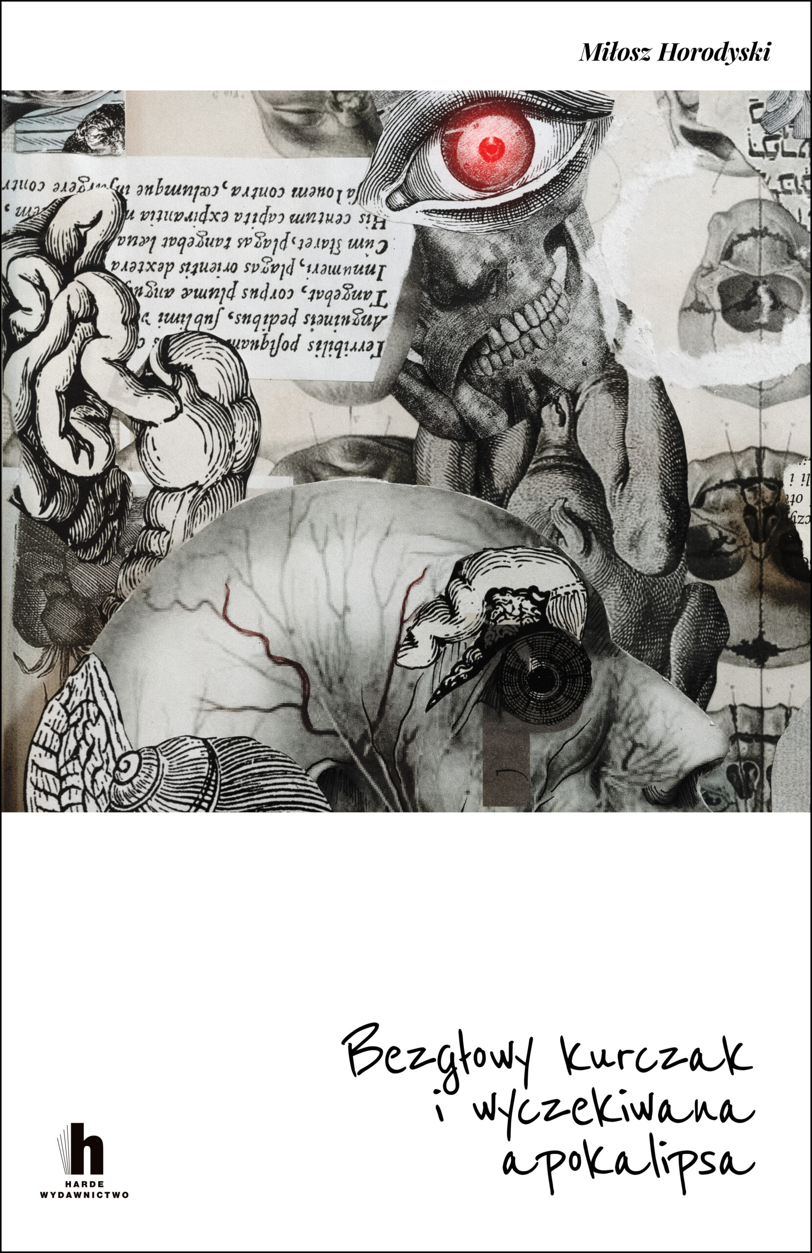 Tytuł: Bezgłowy kurczak i wyczekiwana apokalipsa
Autor: Miłosz Horodyski
Wydawnictwo: Harde Wydawnictwo
Formaty: EPUB, MOBI