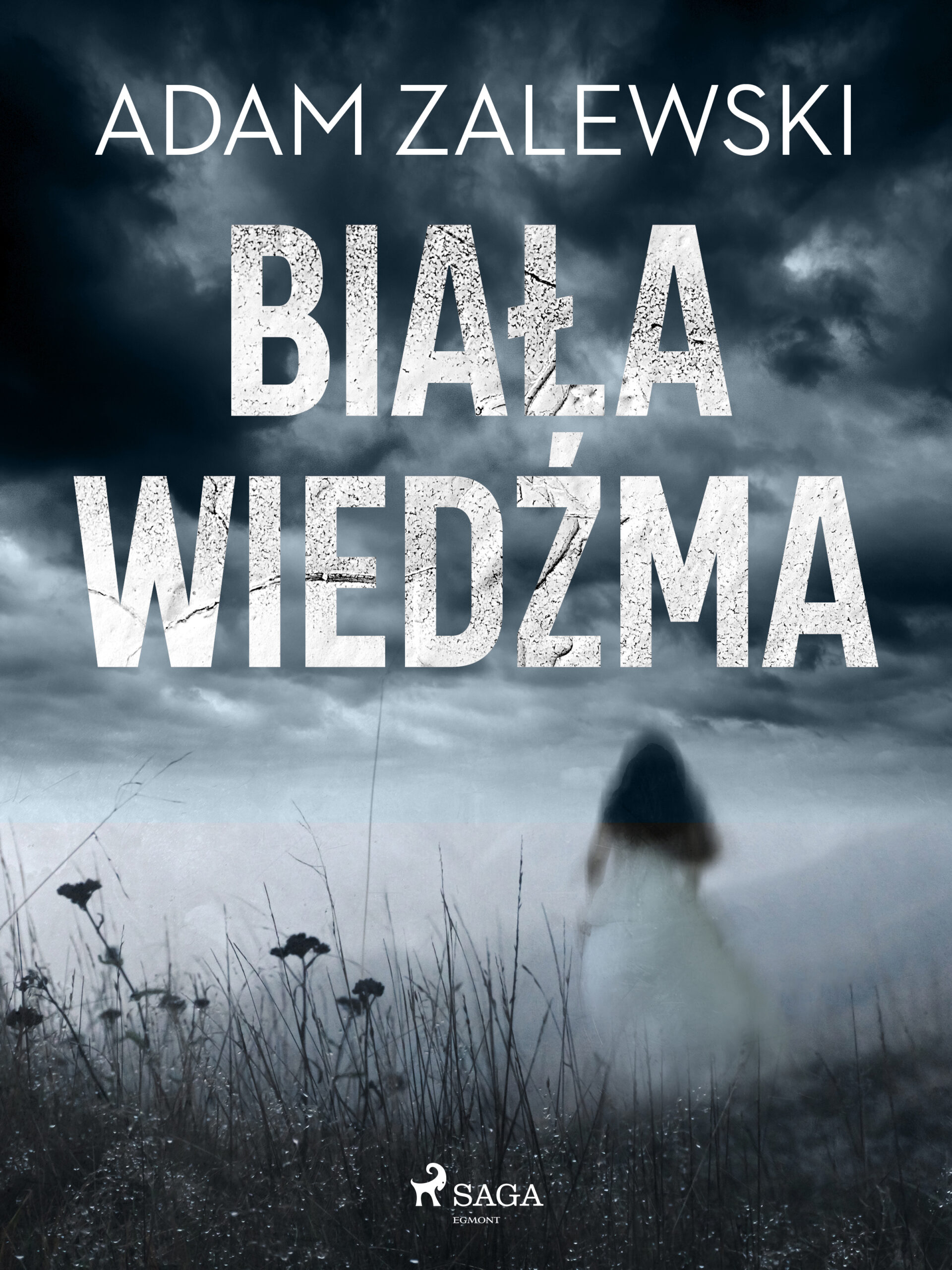 Tytuł: Biała wiedźma
Autor: Adam Zalewski
Wydawnictwo: SAGA Egmont
Formaty: EPUB, MOBI