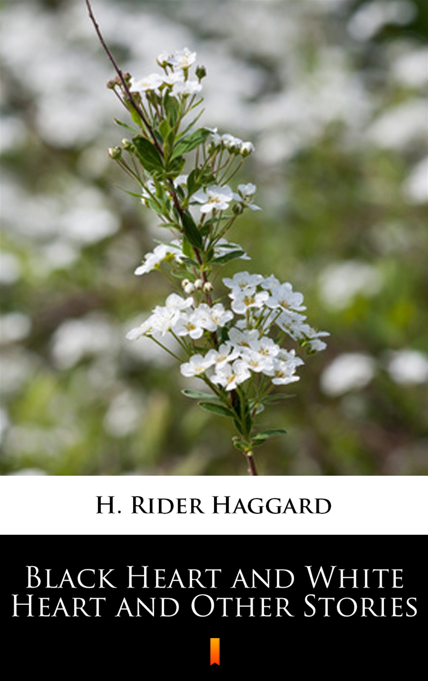 Tytuł: Black Heart and White Heart and Other Stories
Autor: H. Rider Haggard
Wydawnictwo: KtoCzyta.pl
Formaty: EPUB, MOBI