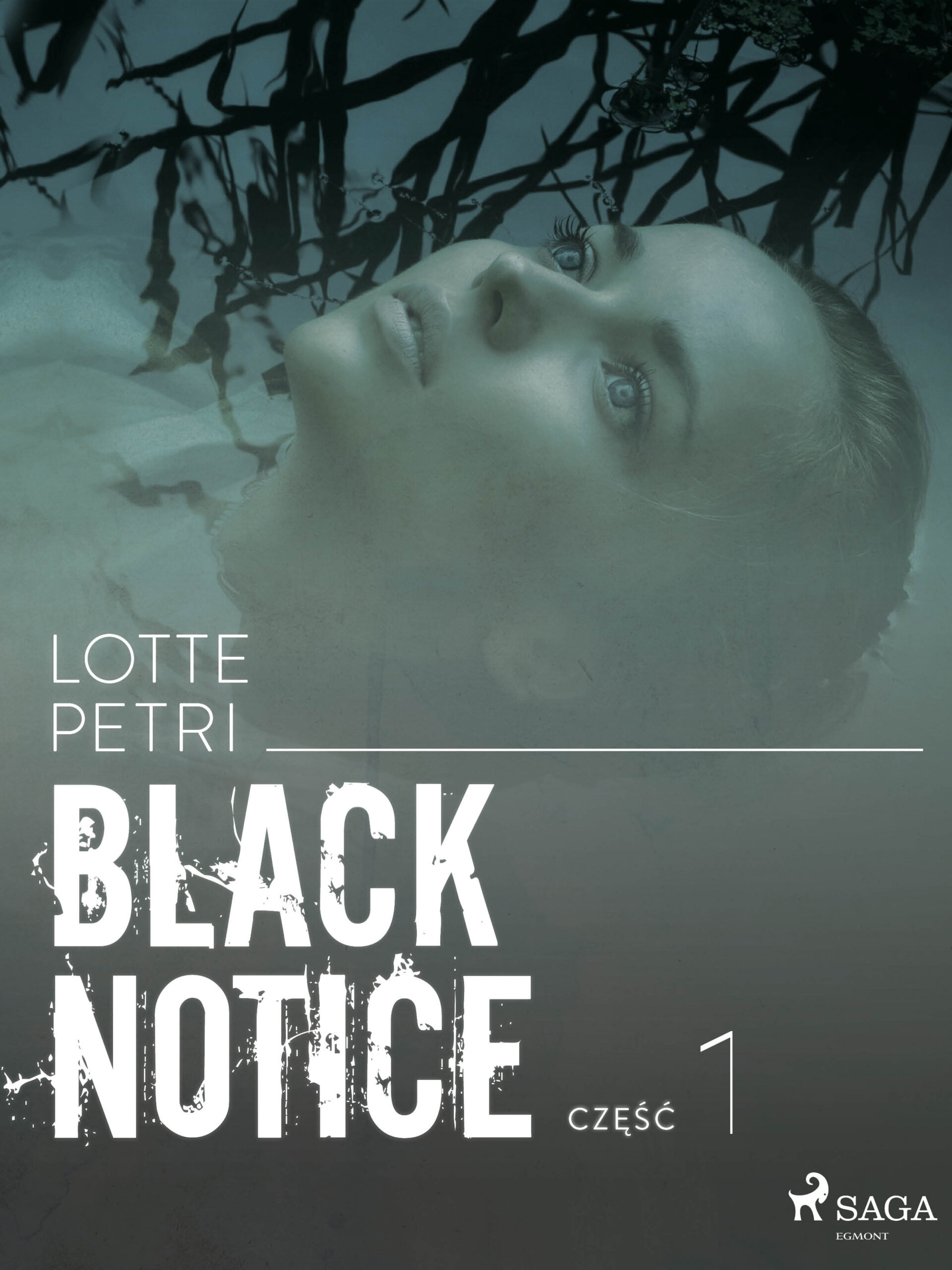 Black Notice. Black notice: część 1 (#1) — okładka