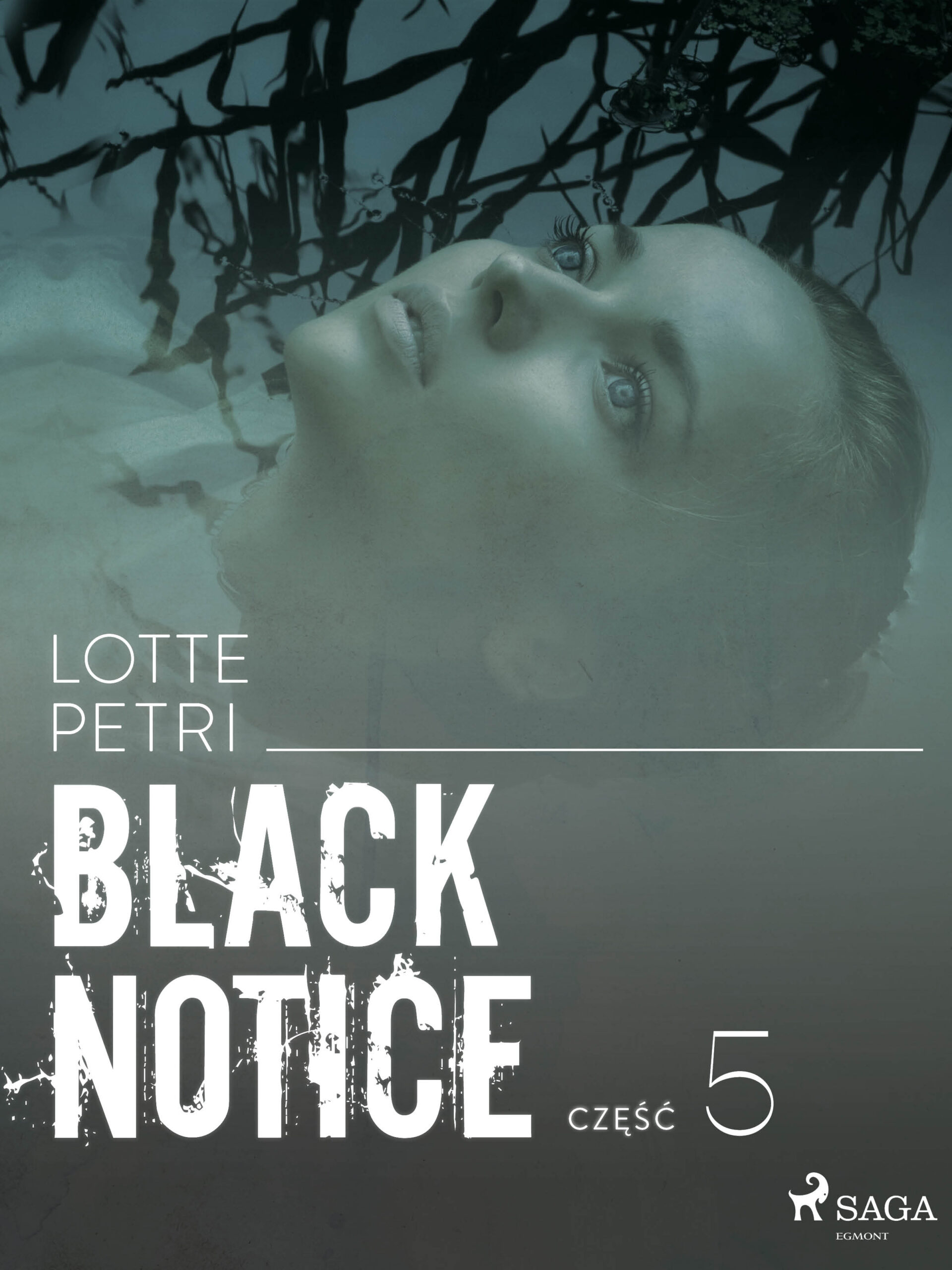 Black Notice. Black notice: część 5 (#5) — okładka e-booka