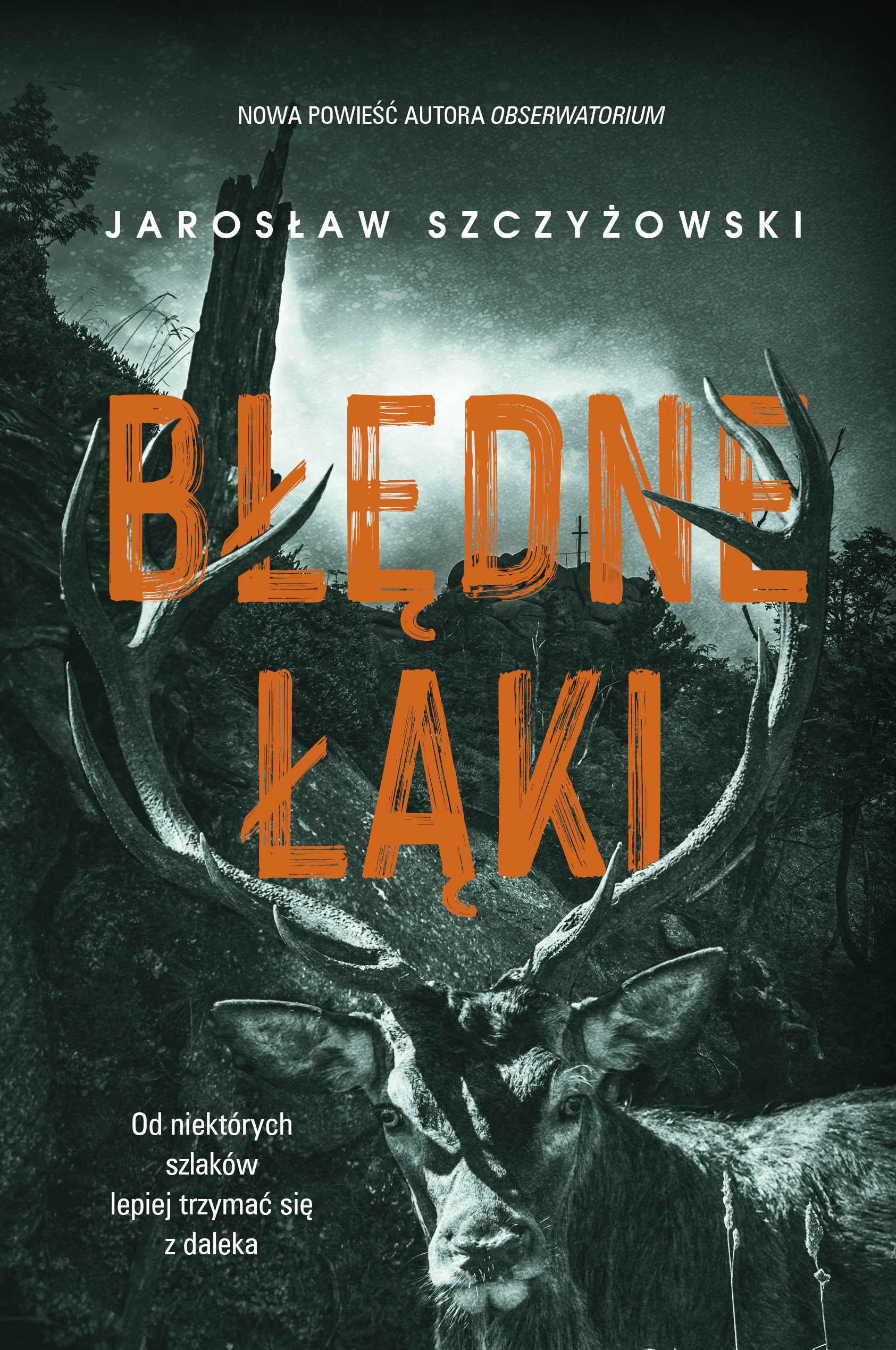 Tytuł: Błędne łąki
Autor: Jarosław Szczyżowski
Wydawnictwo: Literanova
Formaty: EPUB, MOBI