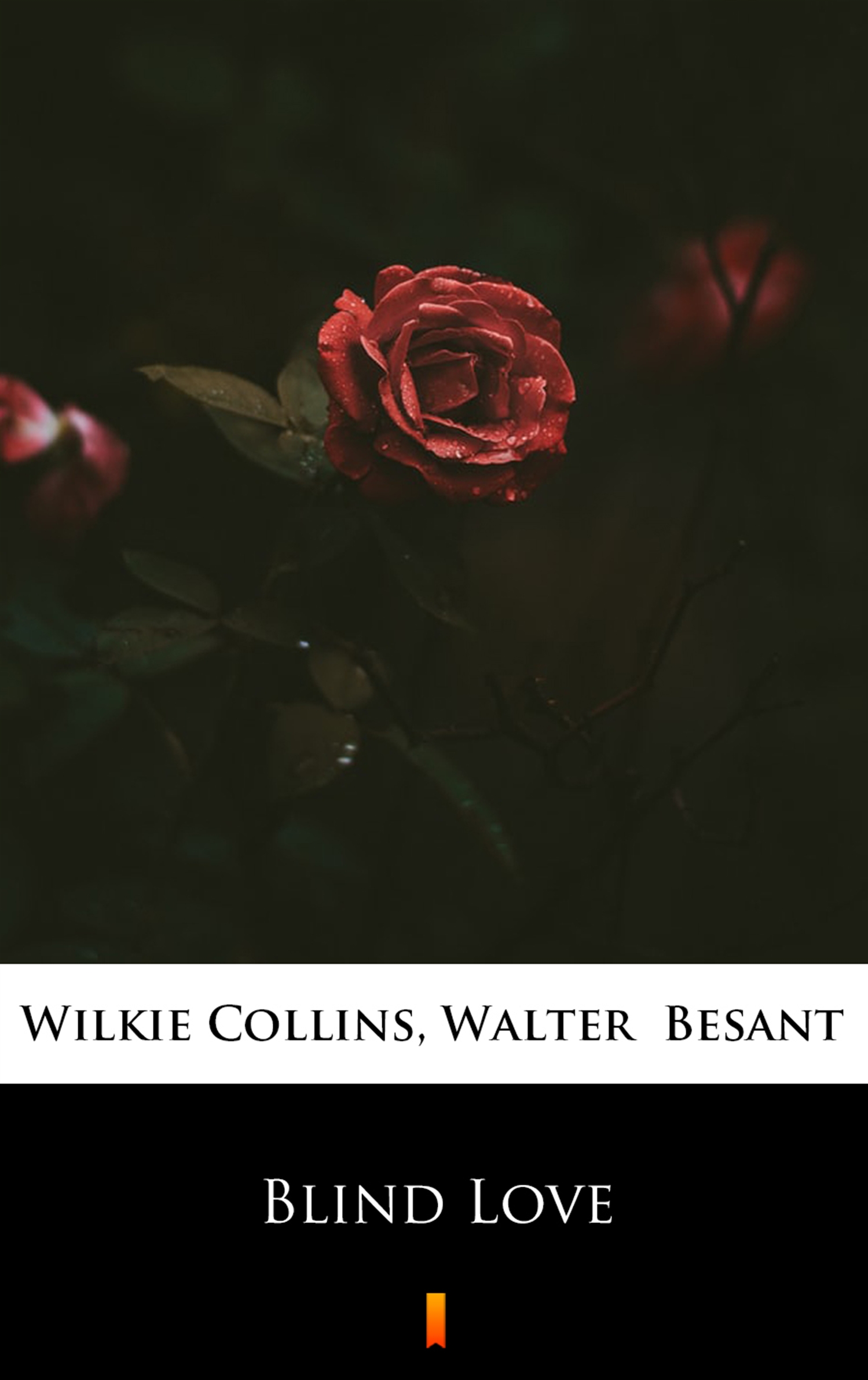 Tytuł: Blind Love
Autor: Wilkie Collins, Walter Besant
Wydawnictwo: KtoCzyta.pl
Formaty: EPUB, MOBI