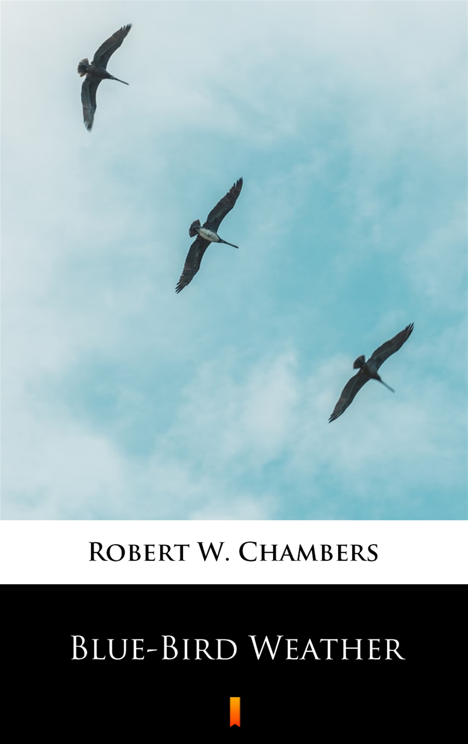 Tytuł: Blue-Bird Weather
Autor: Robert W. Chambers
Wydawnictwo: KtoCzyta.pl
Formaty: EPUB, MOBI