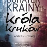 Bohater Krainy Króla Kruków — okładka e-booka