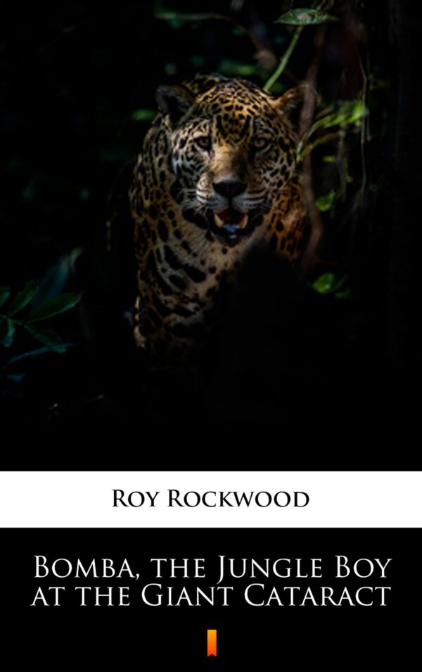 Bomba, the Jungle Boy at the Giant Cataract — okładka e-booka