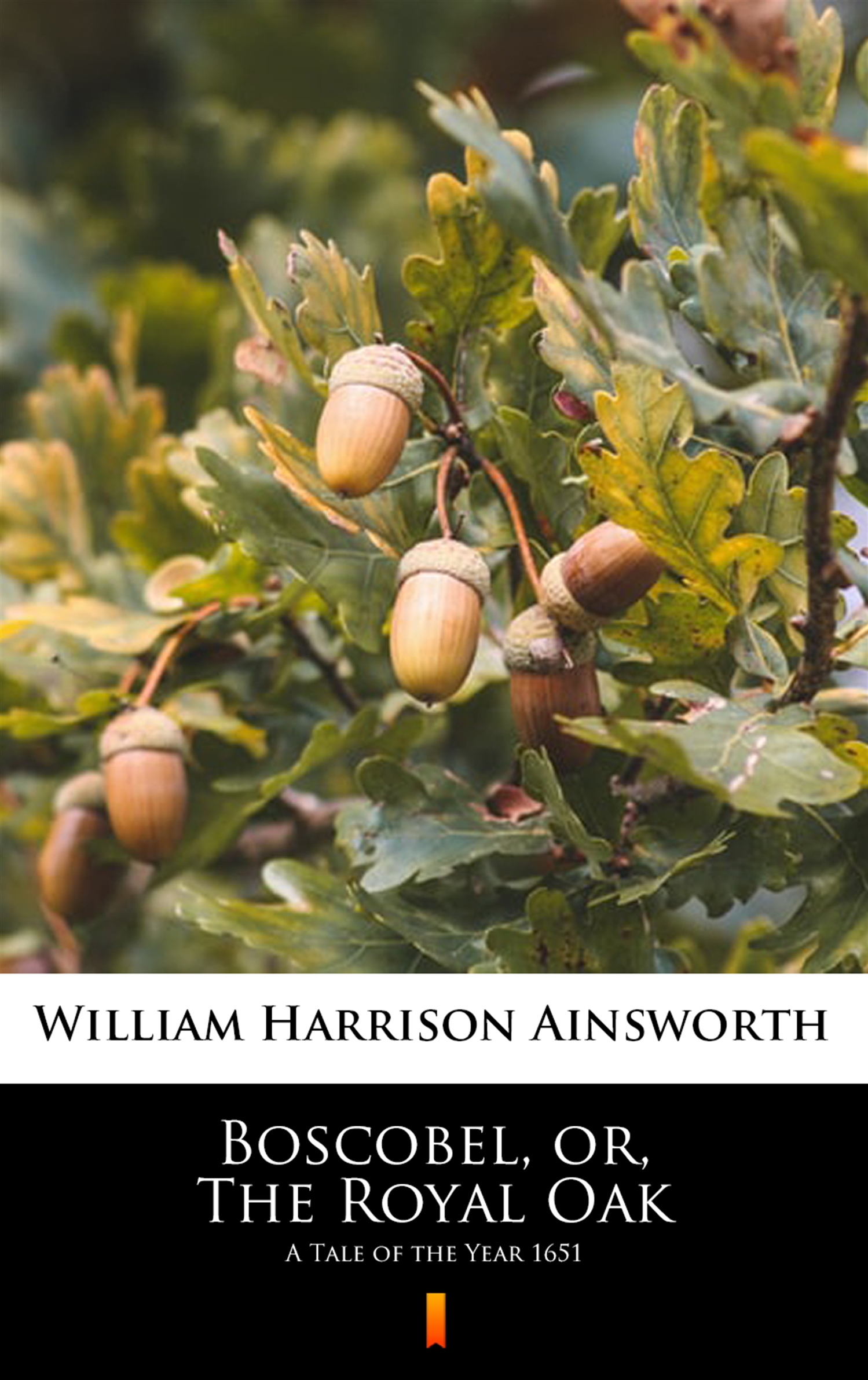 Tytuł: Boscobel, or, The Royal Oak. A Tale of the Year 1651
Autor: William Harrison Ainsworth
Wydawnictwo: KtoCzyta.pl
Formaty: EPUB, MOBI