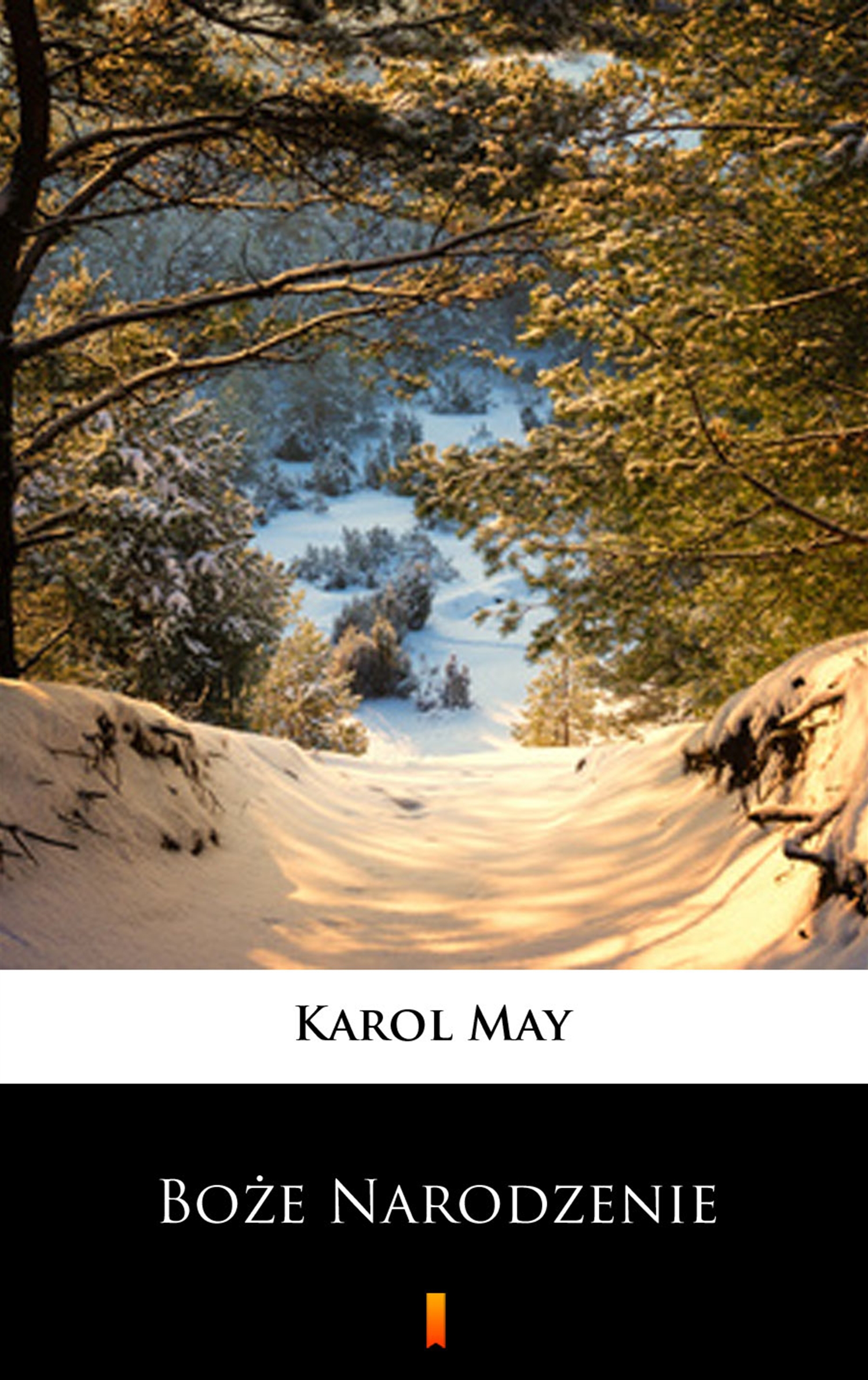 Tytuł: Boże Narodzenie
Autor: Karol May
Wydawnictwo: KtoCzyta.pl
Formaty: EPUB, MOBI