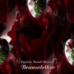 Tytuł: Bransoletka. Legenda dziewiętnastego wieku
Autor: Cyprian Kamil Norwid
Wydawnictwo: Armoryka
Formaty: EPUB, MOBI