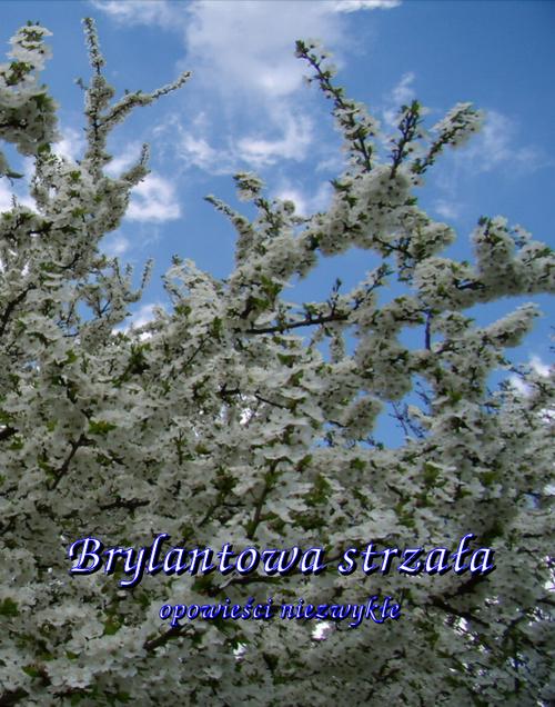 Tytuł: Brylantowa strzała. Opowieści niezwykłe
Autor: Antologia
Wydawnictwo: Armoryka
Formaty: EPUB, MOBI