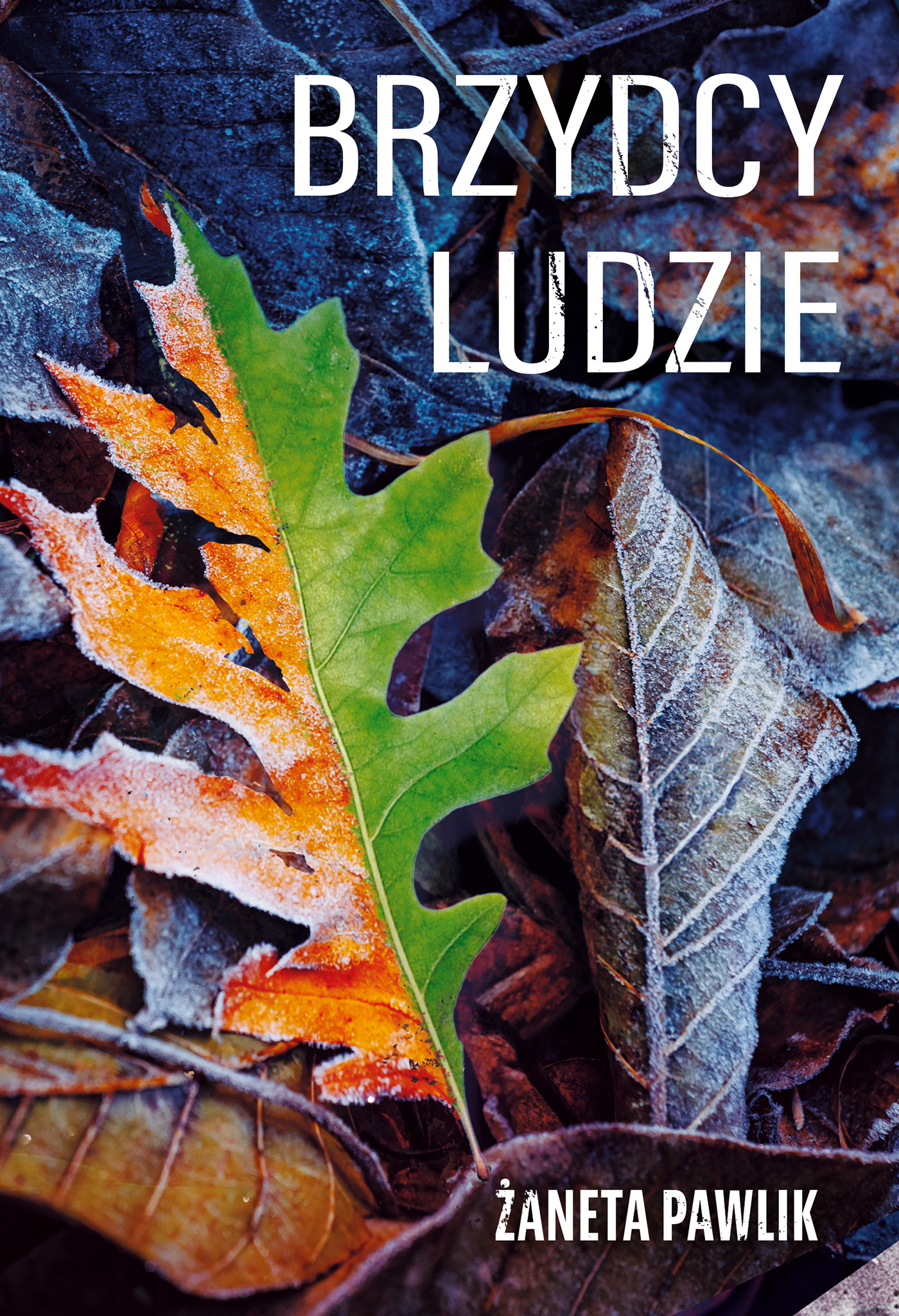 Tytuł: Brzydcy ludzie
Autor: Żaneta Pawlik
Wydawnictwo: Zysk i S-ka
Formaty: EPUB, MOBI