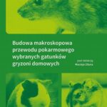 Budowa makroskopowa przewodu pokarmowego wybranych gatunków gryzoni domowych — okładka e-booka