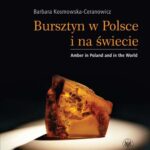 Tytuł: Bursztyn w Polsce i na świecie. Amber in Poland and in the World
Autor: Barbara Kosmowska-Ceranowicz
Wydawnictwo: Wydawnictwa Uniwersytetu Warszawskiego
Formaty: PDF