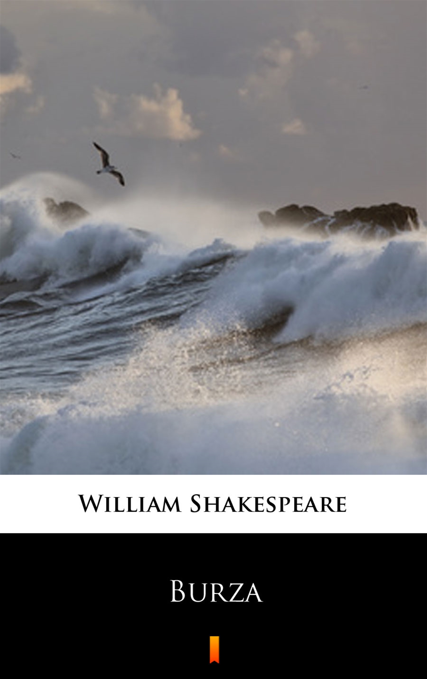 Tytuł: Burza
Autor: William Shakespeare
Wydawnictwo: KtoCzyta.pl
Formaty: EPUB, MOBI