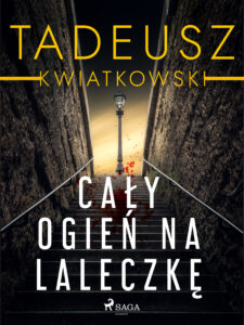 Cały ogień na laleczkę — okładka e-booka