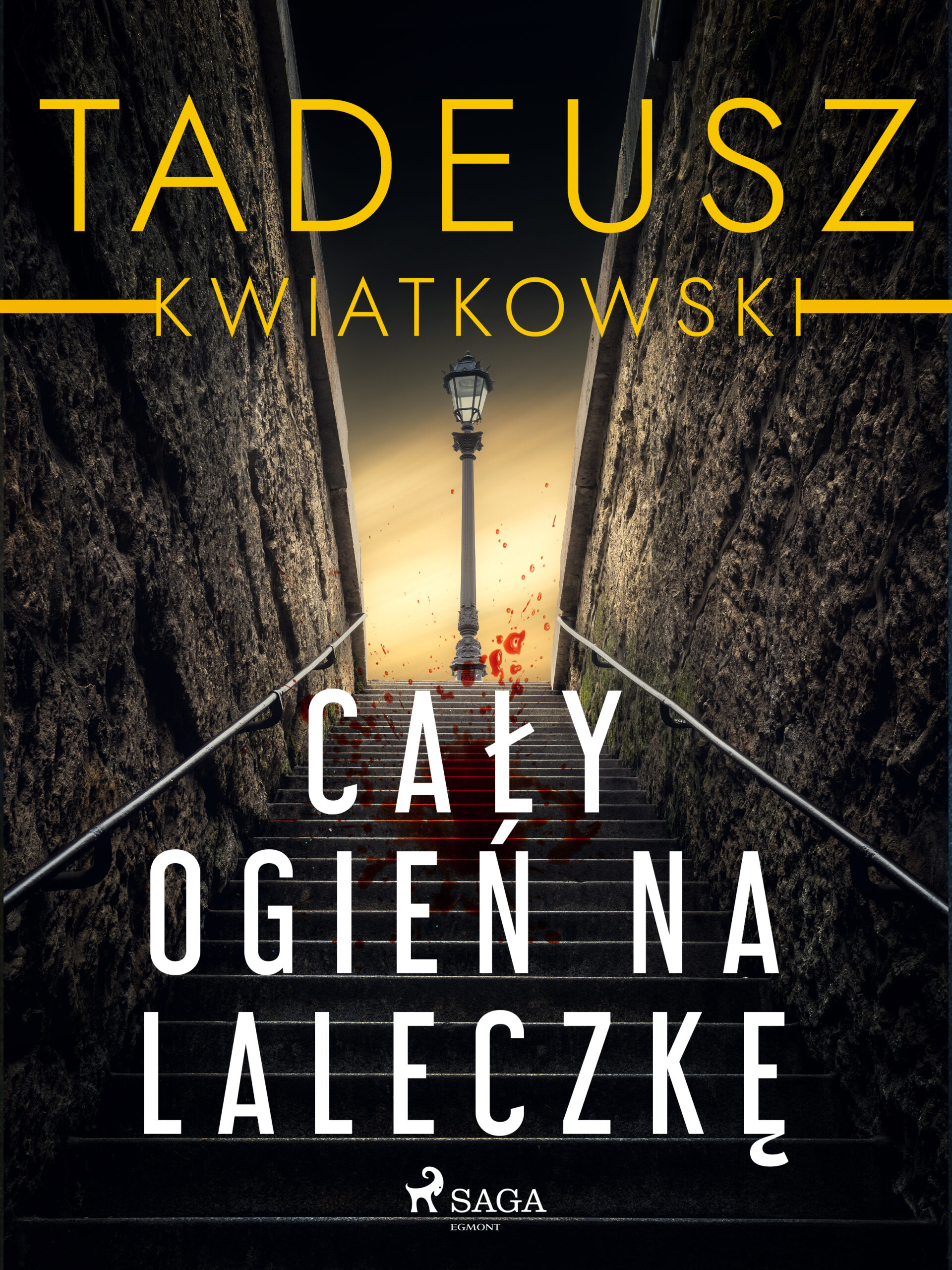 Tytuł: Cały ogień na laleczkę
Autor: Tadeusz Kwiatkowski
Wydawnictwo: SAGA Egmont
Formaty: EPUB, MOBI