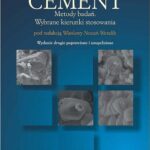 Tytuł: Cement. Metody badań. Wybrane kierunki stosowania
Autor: Andrzej Bobrowski, Marek Gawlicki, Artur Łagosz, Grzegorz Łój, Wiesława Nocuń-Wczelik
Wydawnictwo: Wydawnictwa AGH
Formaty: PDF