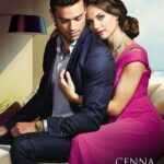 Tytuł: Cenna kolekcja
Autor: Lindsay Armstrong
Wydawnictwo: Harlequin
Formaty: EPUB, MOBI