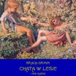 Tytuł: Chata w lesie i inne baśnie
Autor: Bracia Grimm
Wydawnictwo: Armoryka
Formaty: EPUB, MOBI